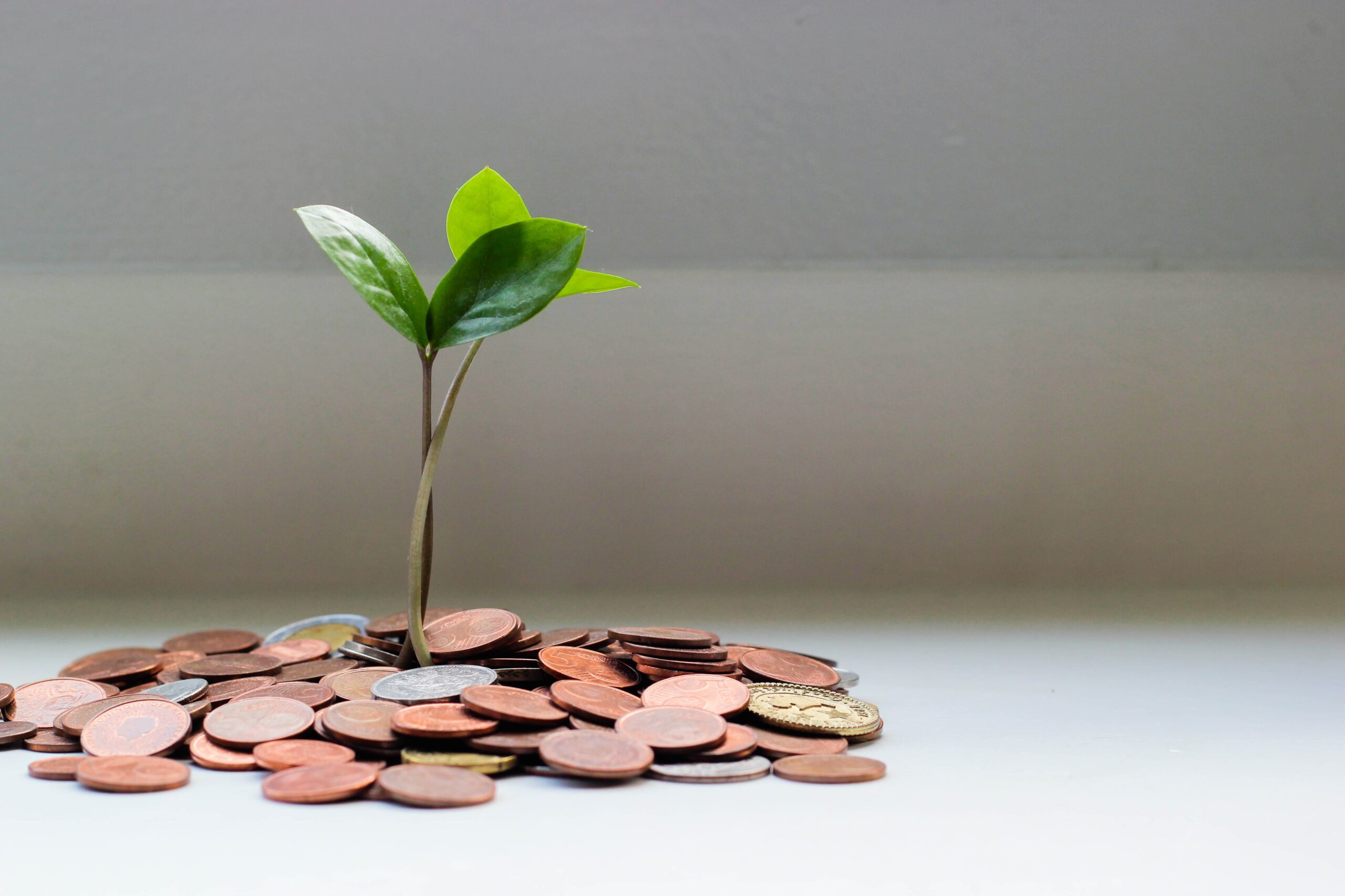 Tax Tips for Individuals